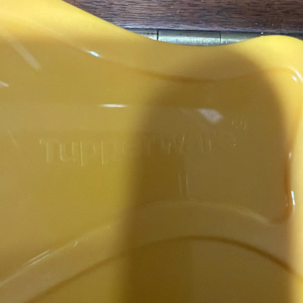 Tupperware new fish